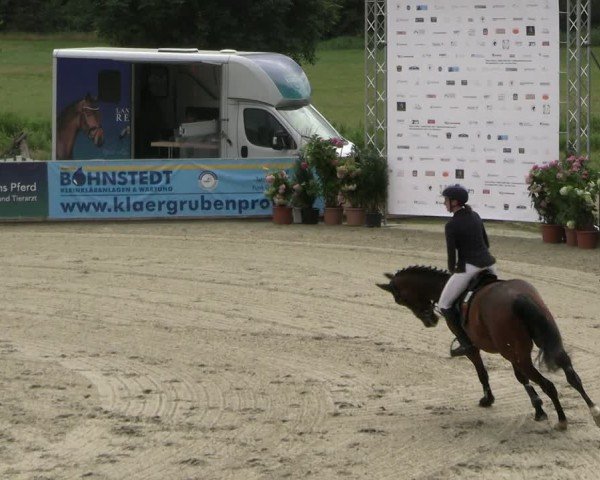 Reitturnier Redefin 2025