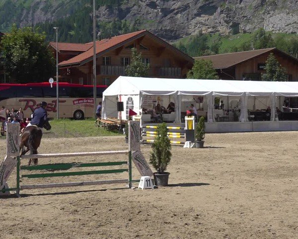Reitturnier Kandersteg 2025