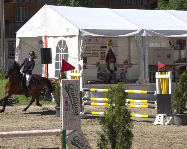 Reitturnier Kandersteg 2025
