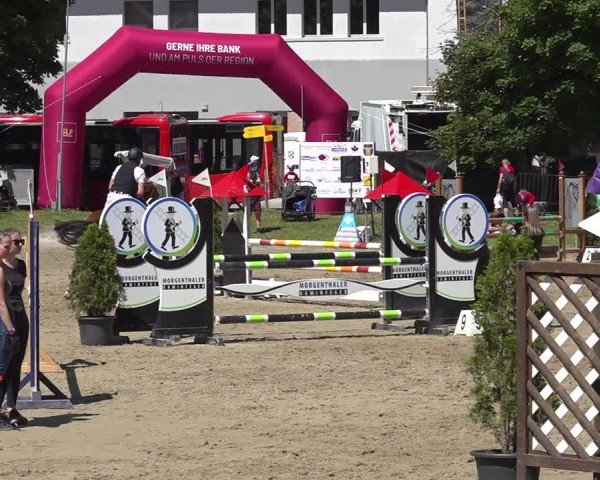 Reitturnier Kandersteg 2025