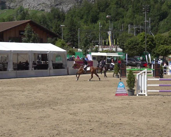 Reitturnier Kandersteg 2025