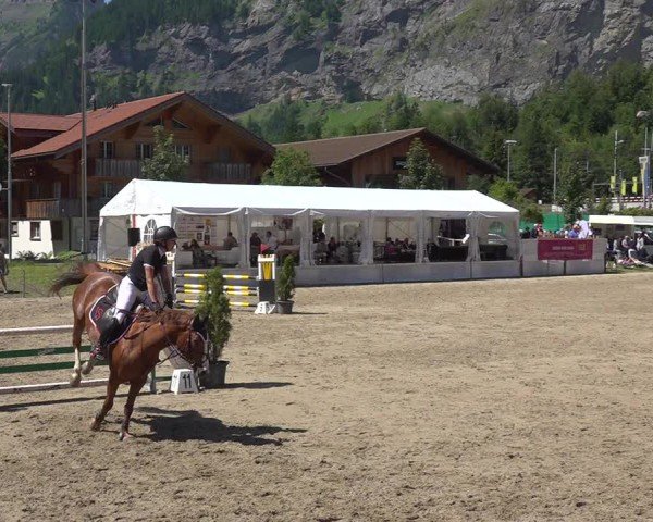Reitturnier Kandersteg 2025