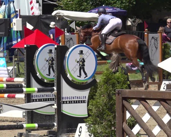 Reitturnier Kandersteg 2025