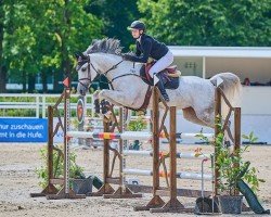 Springpferd Delphina 16 (Holsteiner, 2018, von Dinken)