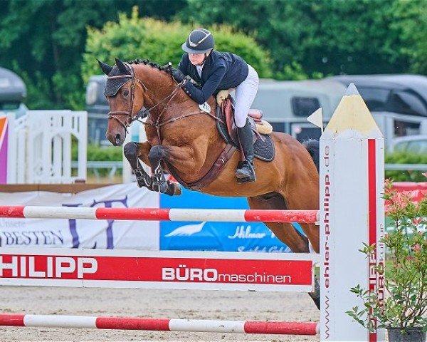 jumper Clearound (Holsteiner, 2018, from Clearway)