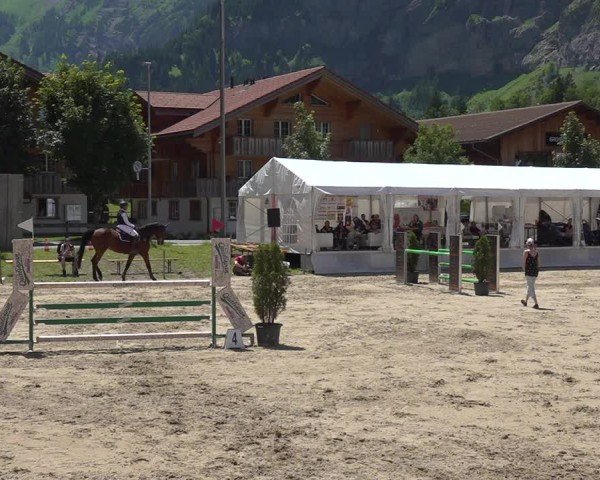 Reitturnier Kandersteg 2025