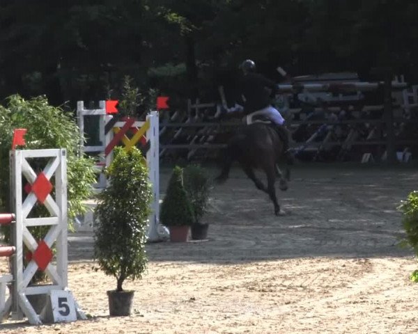 Iserlohn-Kalthof 2014