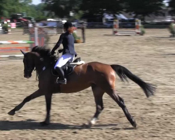 Iserlohn-Kalthof 2014