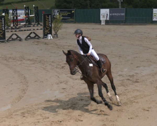 Torneo Equestre Lindlar-Süttenbach 2025
