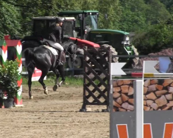 Iserlohn-Kalthof 2014