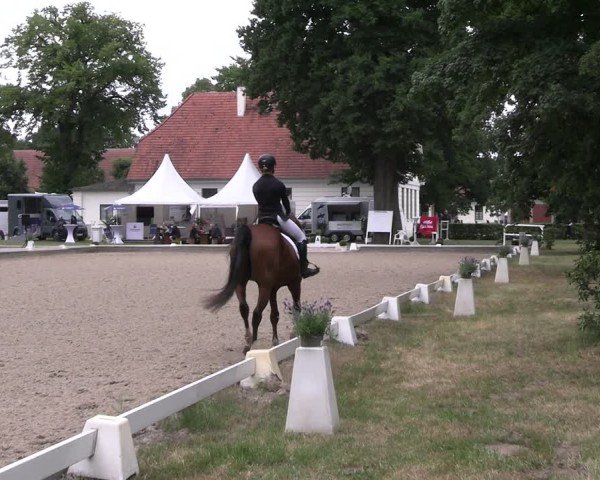 Reitturnier Redefin 2025