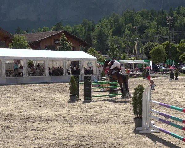 Reitturnier Kandersteg 2025