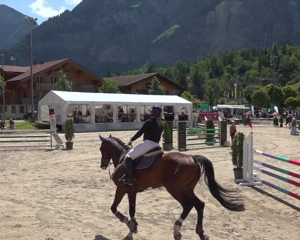 Reitturnier Kandersteg 2025
