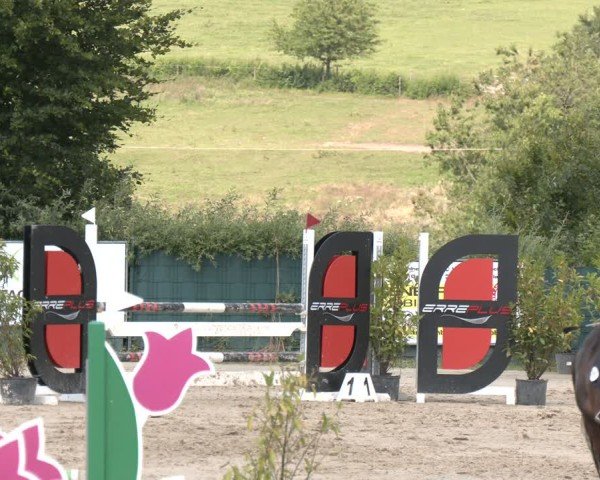 Reitturnier Lindlar-Süttenbach 2025