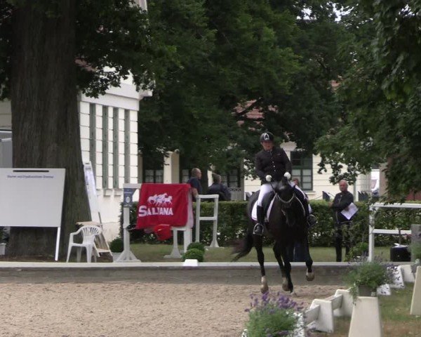 Reitturnier Redefin 2025