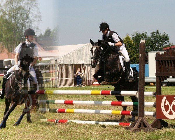 broodmare Melli's Montana (German Riding Pony, 1997, from Bayus)