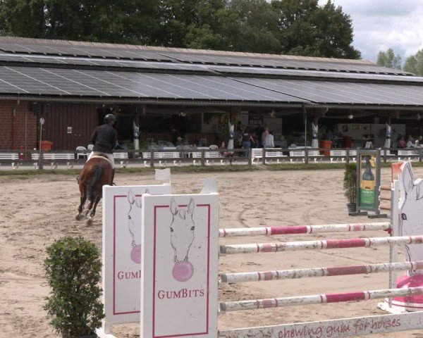 Reitturnier Münster-Roxel 2025