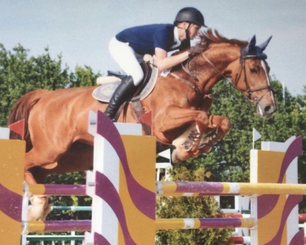 broodmare Leopardine (Oldenburg, 1997, from Leopardos)