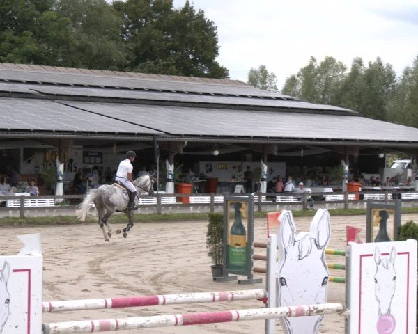 Reitturnier Münster-Roxel 2025