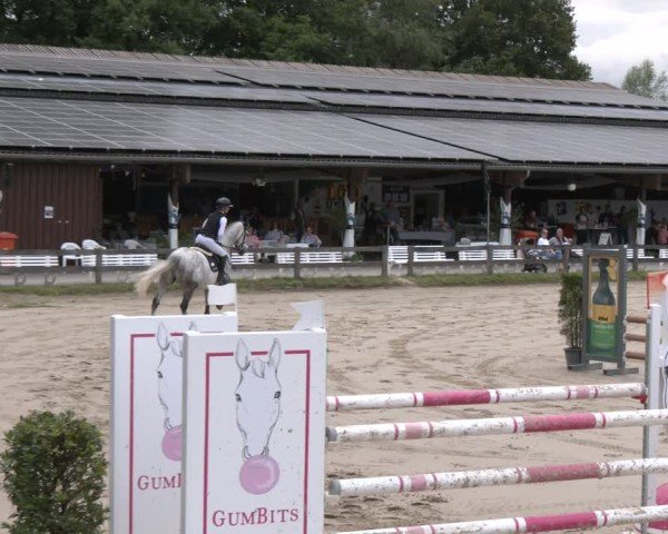 Reitturnier Münster-Roxel 2025