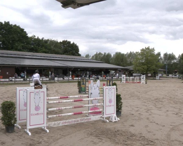 Reitturnier Münster-Roxel 2025