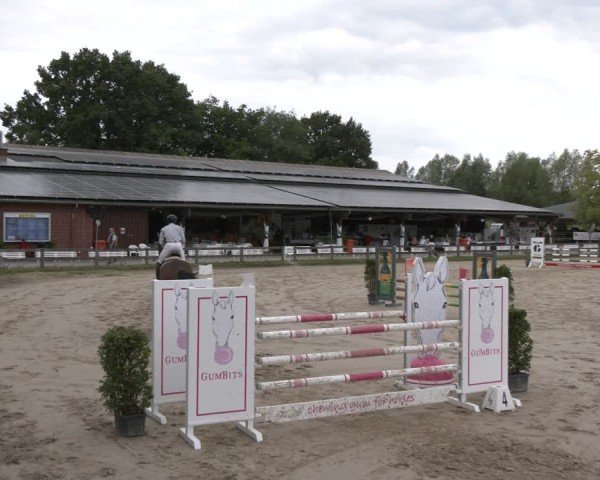 Reitturnier Münster-Roxel 2025