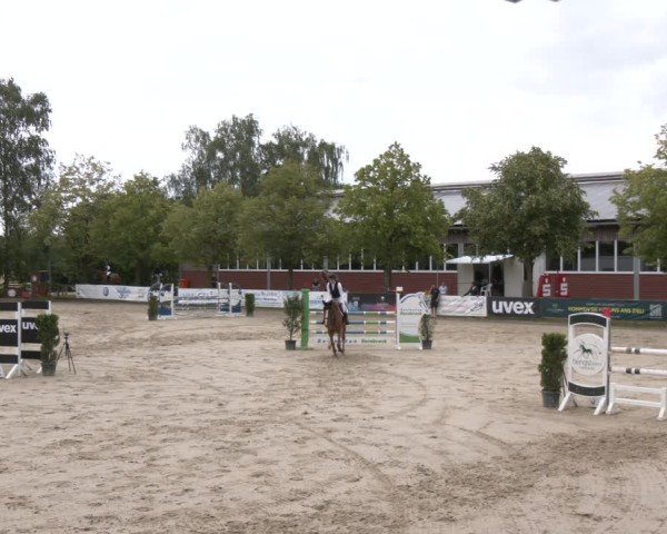 Reitturnier Münster-Roxel 2025