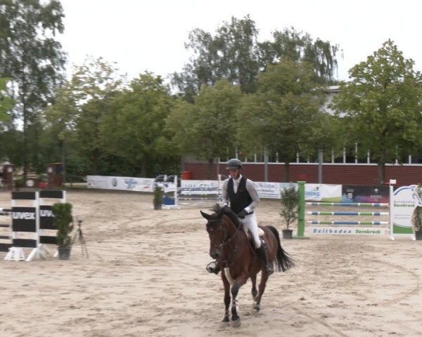 Reitturnier Münster-Roxel 2025