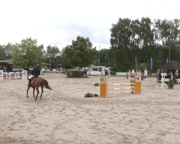 Reitturnier Münster-Roxel 2025