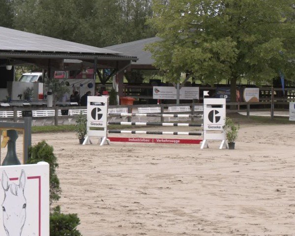 Reitturnier Münster-Roxel 2025