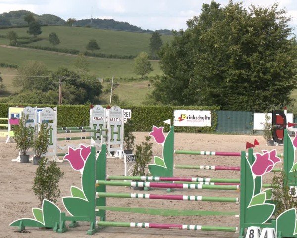 Reitturnier Lindlar-Süttenbach 2025