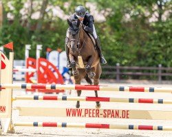 jumper Achy Breaky Heart 4 (Trakehner, 2019, from Touch my Heart)