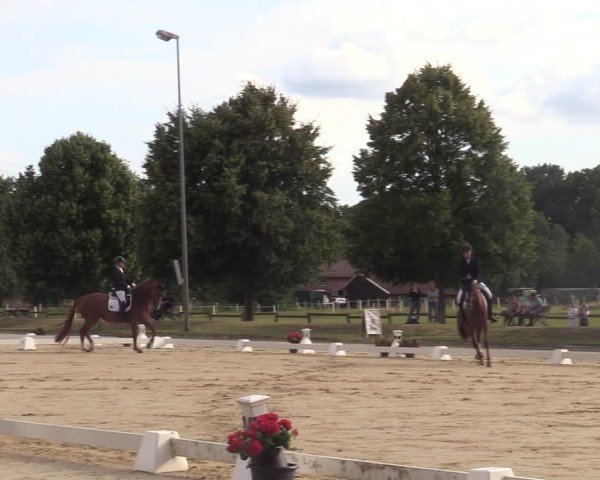 Reitturnier Münster-Roxel 2025