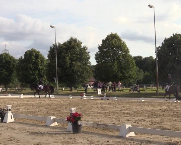 Reitturnier Münster-Roxel 2025