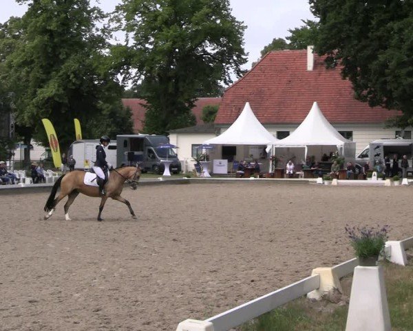 Reitturnier Redefin 2025