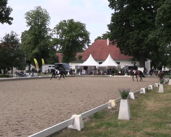 Reitturnier Redefin 2025