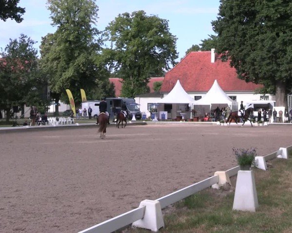 Reitturnier Redefin 2025