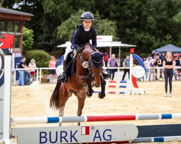dressage horse Happy end (German Riding Pony, 2012, from Henry)