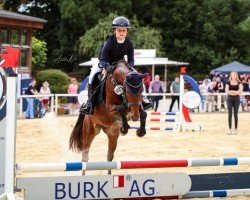 dressage horse Happy end (German Riding Pony, 2012, from Henry)