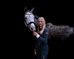 Springpferd Cimba 37 (Hannoveraner, 2016, von Cicero Z van Paemel)