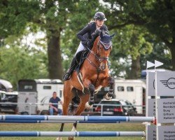 Springpferd Especially for me 3 (Deutsches Sportpferd, 2018, von Eldorado van de Zeshoek)
