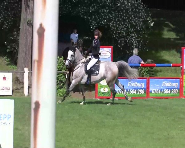 Sommerturnier Legelshurst 2014