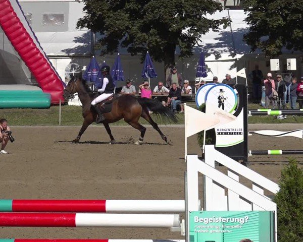 Reitturnier Kandersteg 2025