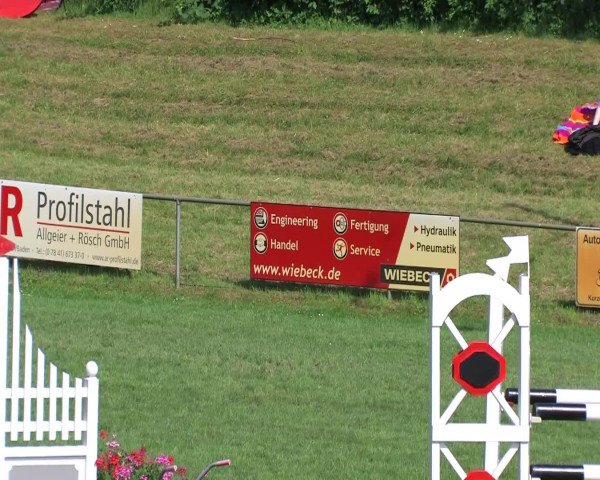 Sommerturnier Legelshurst 2014