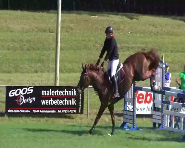 Sommerturnier Legelshurst 2014