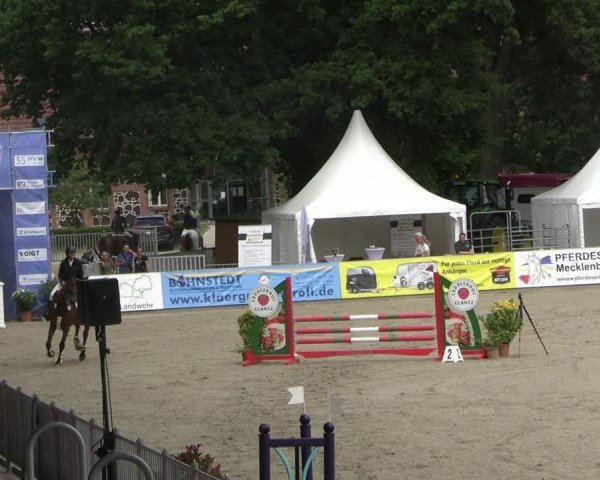 Reitturnier Redefin 2025