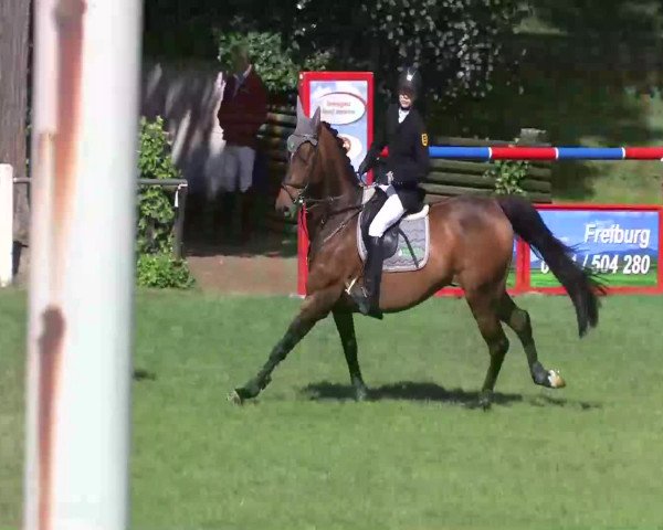 Sommerturnier Legelshurst 2014