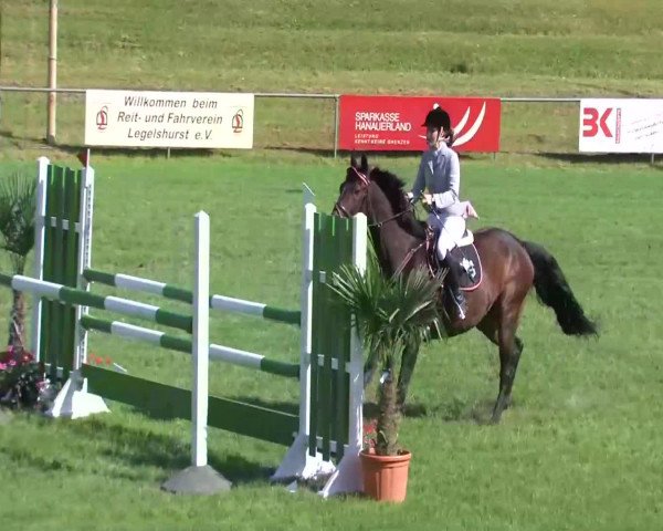 Sommerturnier Legelshurst 2014