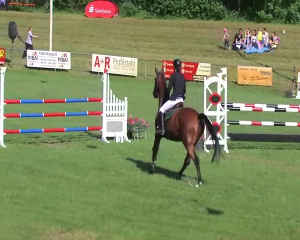 Sommerturnier Legelshurst 2014
