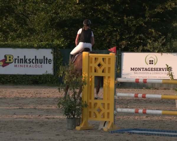 Reitturnier Lindlar-Süttenbach 2025